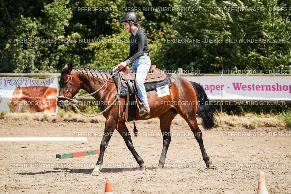 DSC07644 | Pferdegrafie