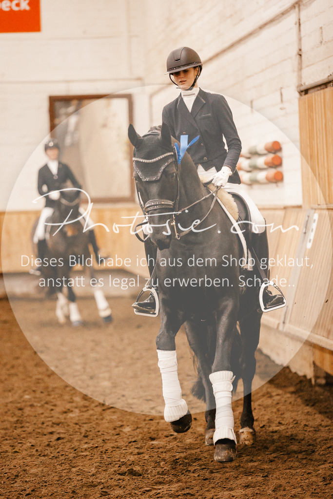 3I6A3343 | Stimmungsvolle Portraits und Reitsportfotografie im Ruhrgebiet und im Münsterland.

Pferdefotografie, Hundefotografie, Tierfotografie, Reportagen, Portraits von Tier und Mensch, Turnierfotografie in Bochum, Recklinghausen, Marl, Haltern am See, Dülmen.. - Realisiert mit Pictrs.com