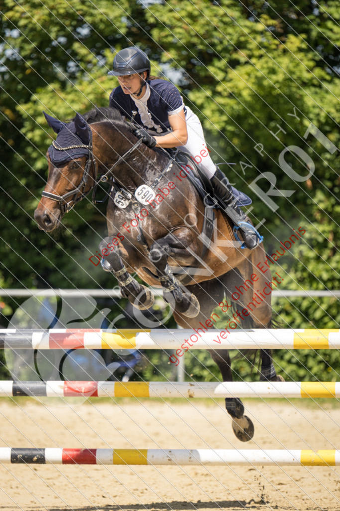IMG_9461 | Sport-, Event- und Tierfotos in Profiqualität. Einfach auswählen, bestellen und herunterladen. Dein Moment – perfekt festgehalten.