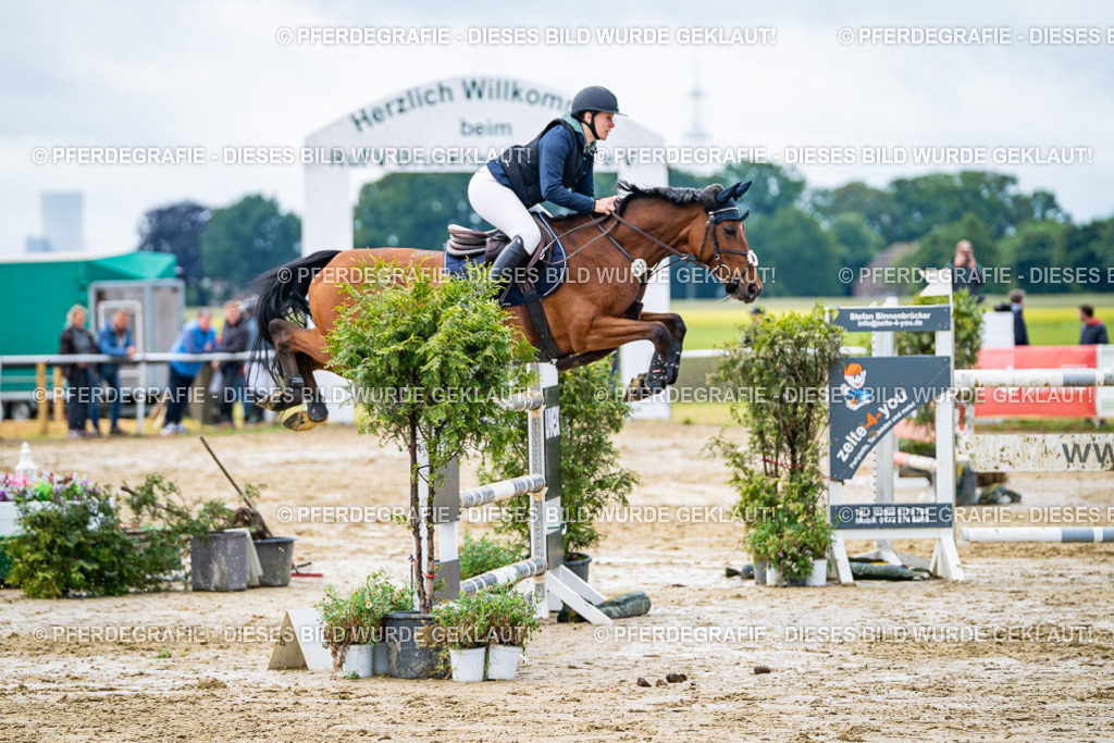 DSC03958 | Pferdegrafie