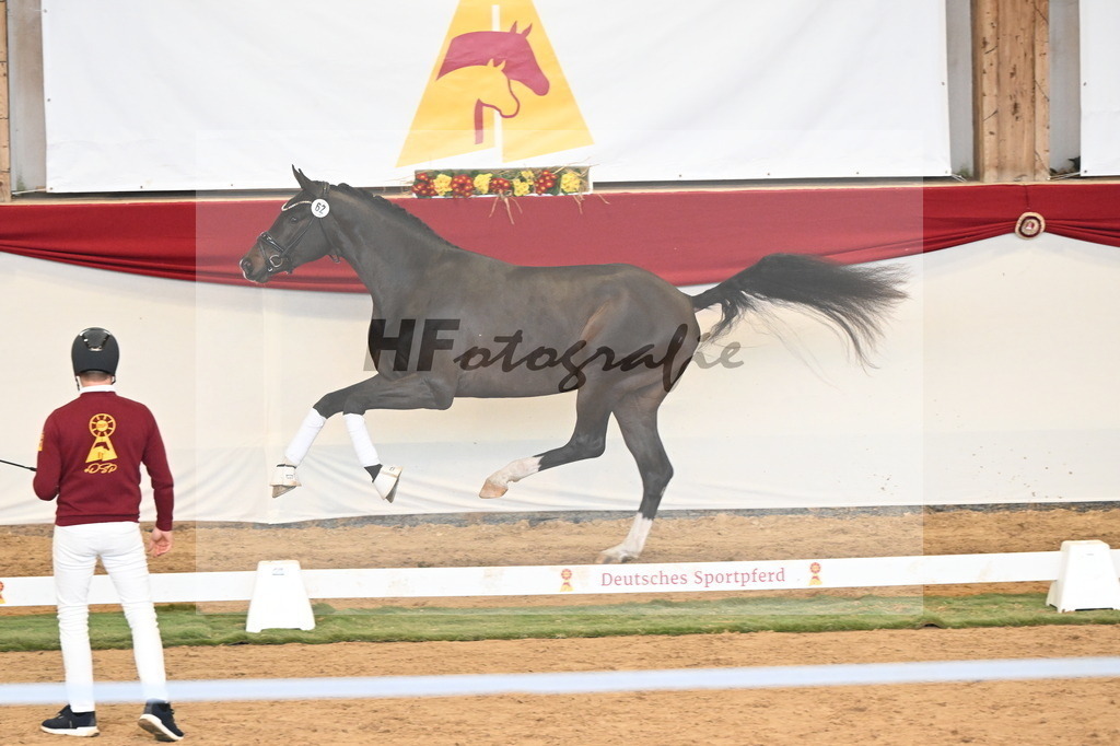 Kat.-Nr. 62 v. Franklin_Stockbrink_3260746 | hf-fotografie - Realisiert mit Pictrs.com