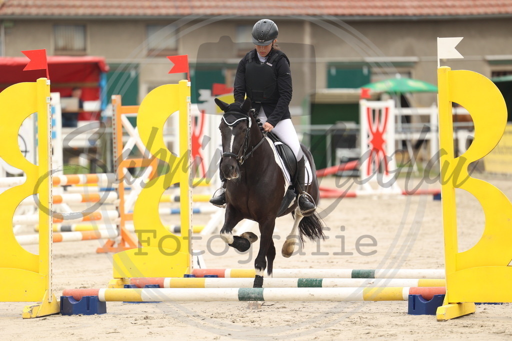 994A8368 | sabrinanicolaifotografie - Realisiert mit Pictrs.com