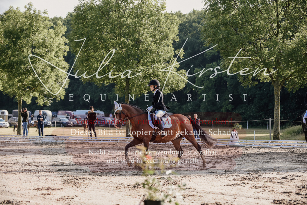 DSC_7828 | Pferde- und Turnierfotografie in Westsachsen. Pferdeportraits, Auftragszeichnungen und intuitive Kunst.