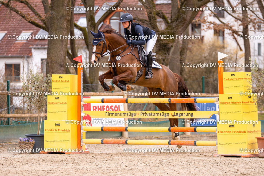 Kranichstein Tag 2-280 | dv-media-shop - Realisiert mit Pictrs.com