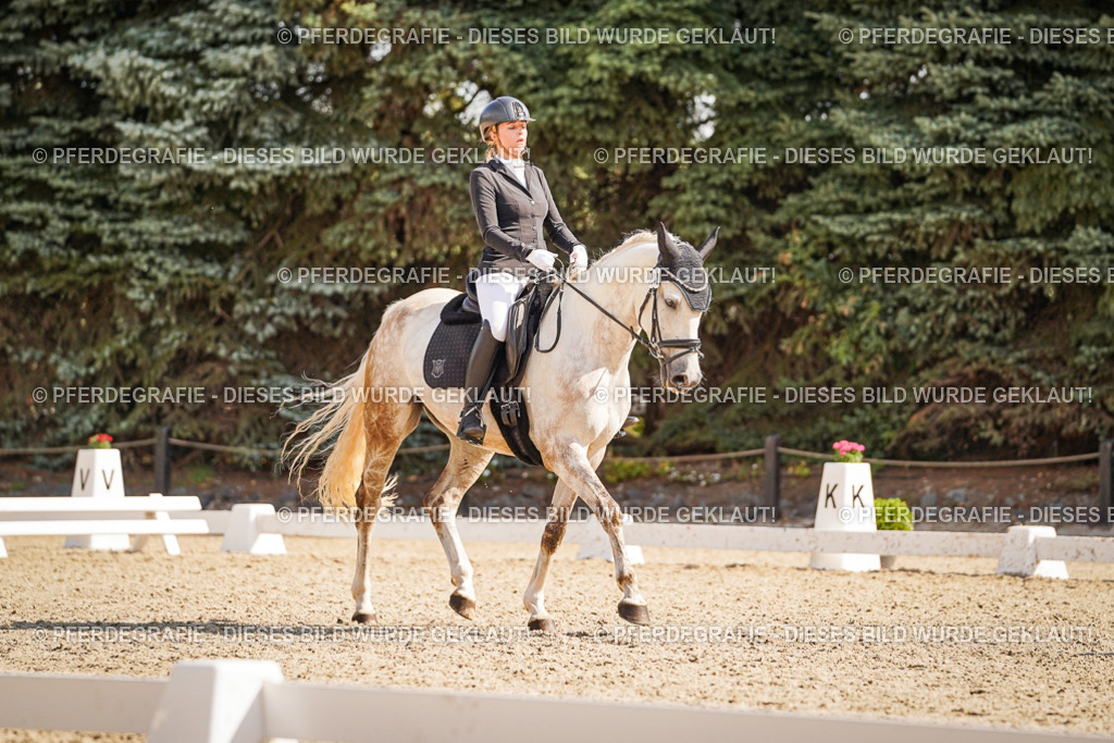 DSC00655 | Pferdegrafie