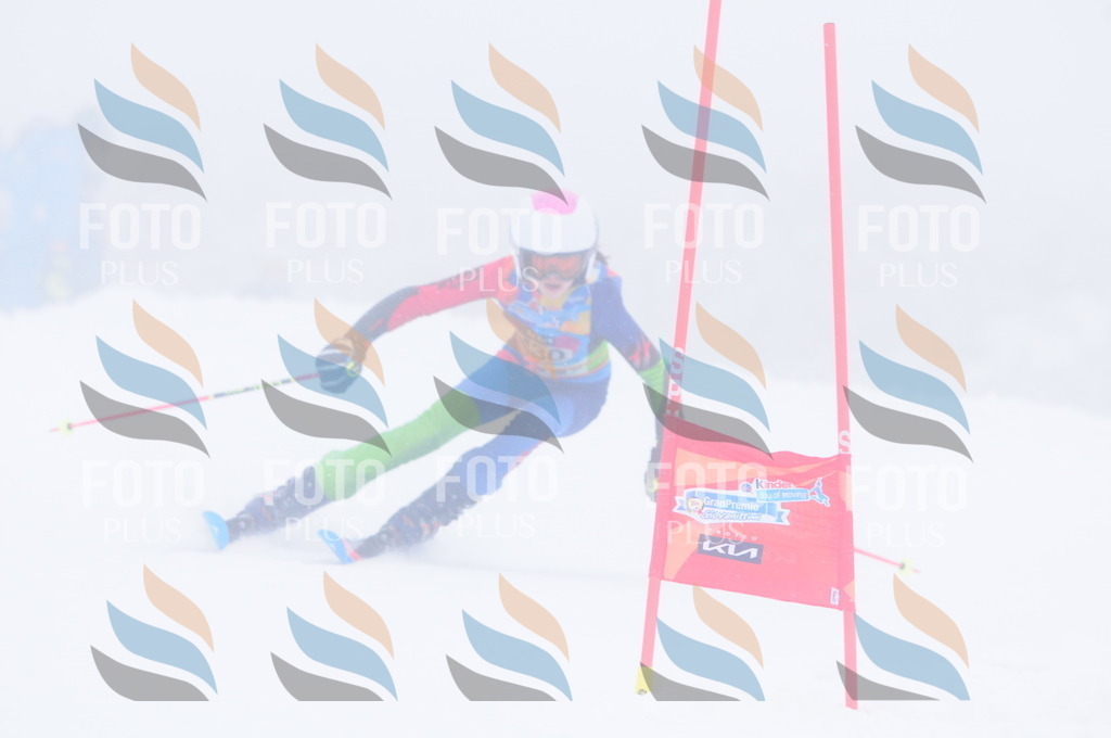 C3528 | holidayphoto