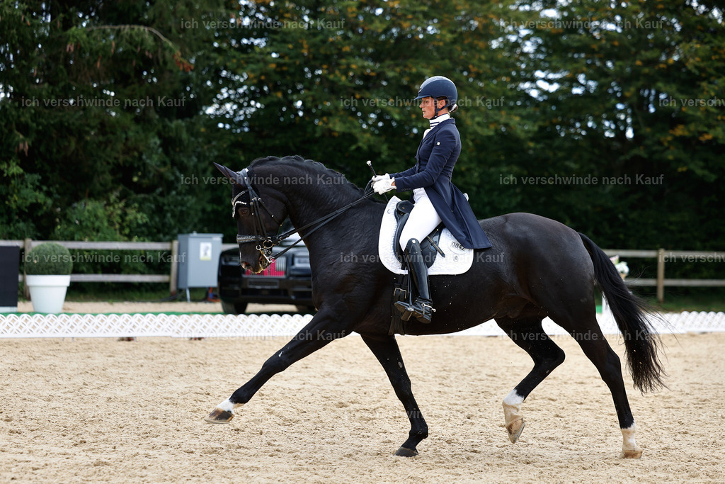 11-042-Dressur S___-StoibPH-1213 | working equitationturnier fotograf videograf stoibphotography marixx film working equitation deutschland reitsport turnierfotografie eventfotografie equestrian events