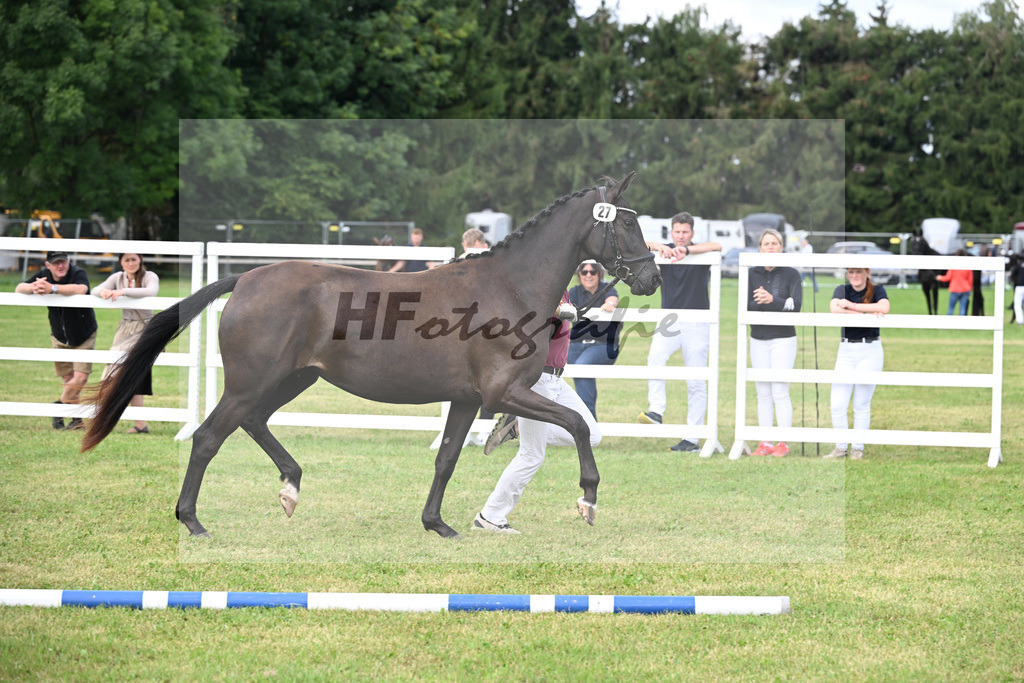 Kat-Nr. 27 Della Mara S v. Monte Carlo TC_Schwarz_30250619 | hf-fotografie - Realisiert mit Pictrs.com