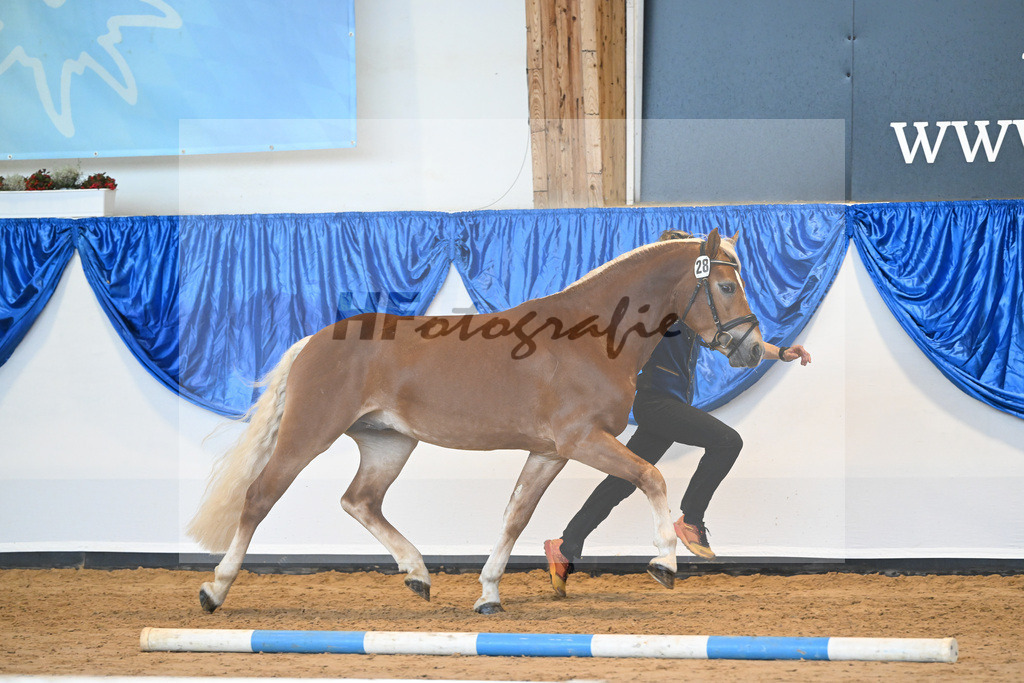 Kat-Nr. 28 Napoleon v. Nakuri_Lechner_60220807 | hf-fotografie - Realisiert mit Pictrs.com