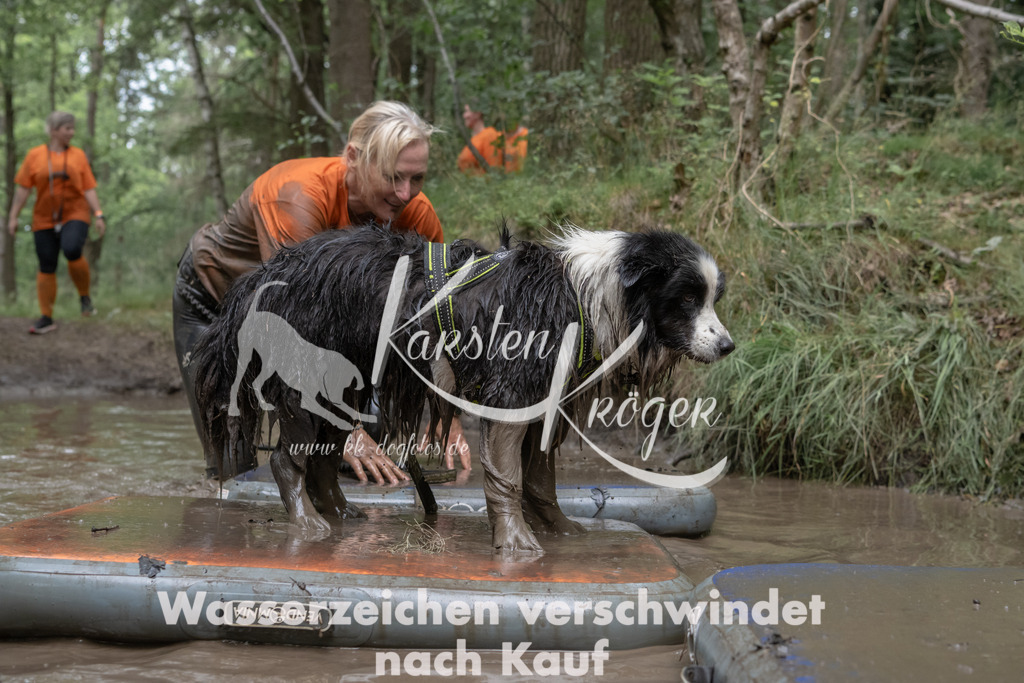 1342_ZZ95484 | kk-dogfotos