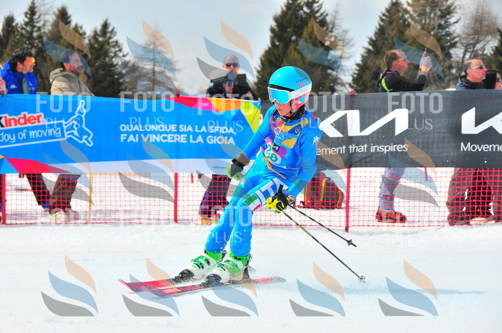 DSC_2688 | holidayphoto