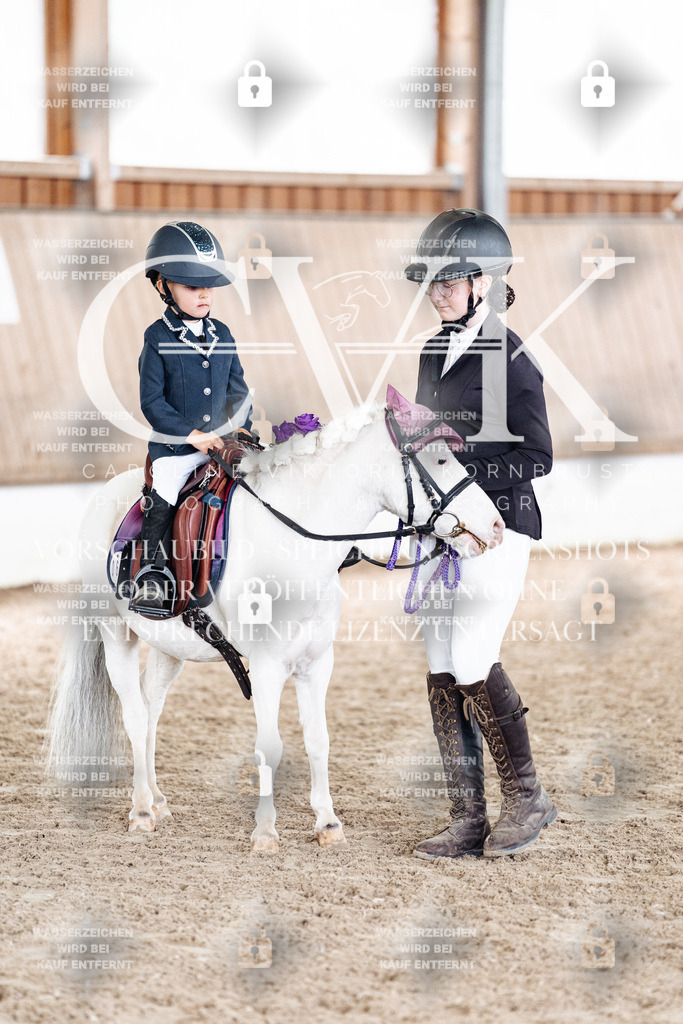 CK902154 | Turnierfotografie Pferdefotografie Trier Rheinland-Pfalz Pferdesport Reitsport Tierfotografie Sportfotografie Pferdevideo Pferdevideografie Equestrianvideography equestrianphotography  - Realized with Pictrs.com