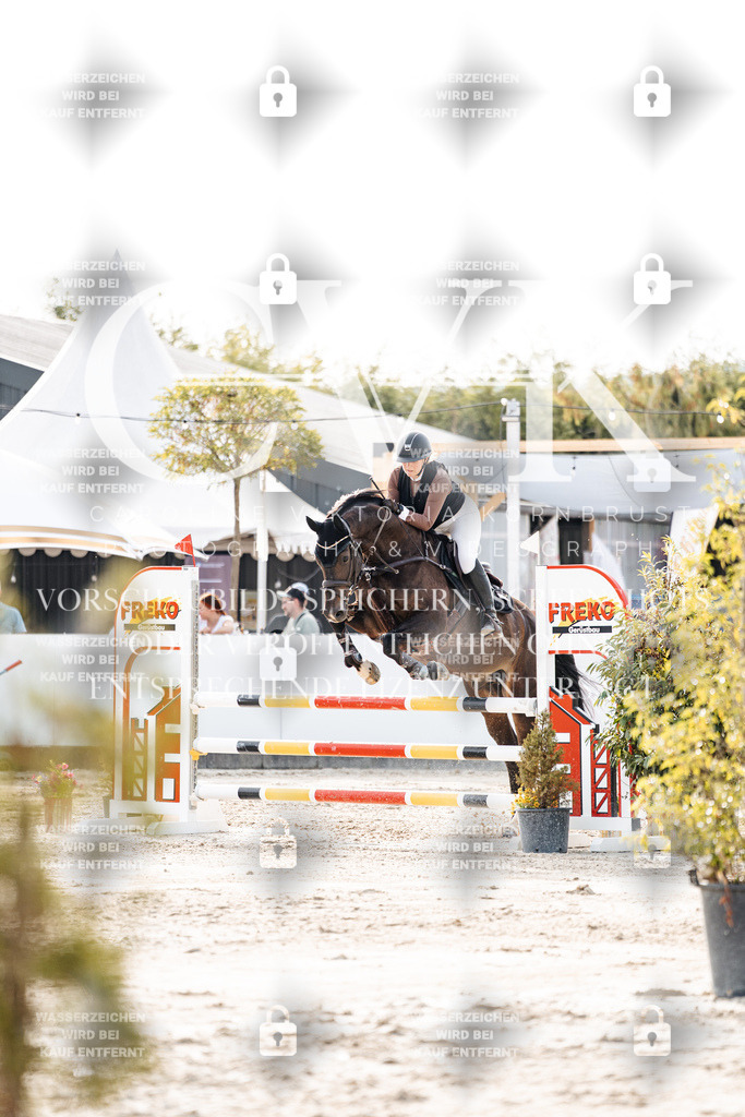 CK906563 | Turnierfotografie Pferdefotografie Trier Rheinland-Pfalz Pferdesport Reitsport Tierfotografie Sportfotografie Pferdevideo Pferdevideografie Equestrianvideography equestrianphotography  - Realisiert mit Pictrs.com