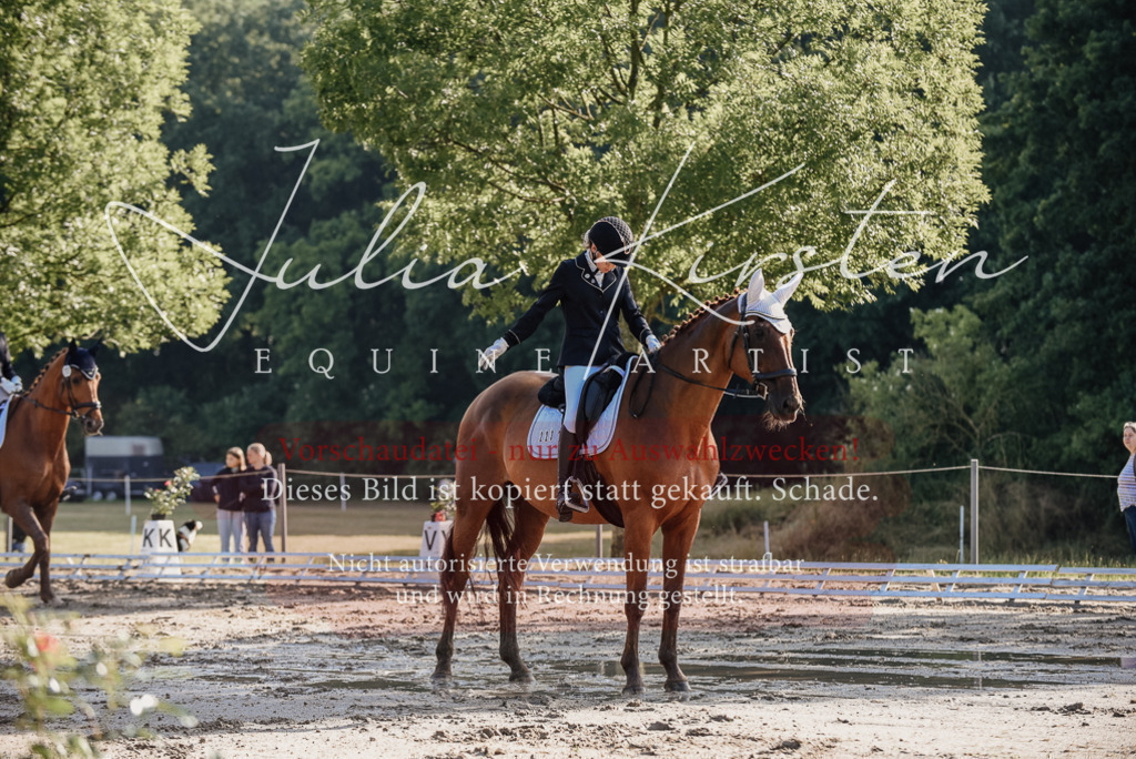 DSC_7749 | Pferde- und Turnierfotografie in Westsachsen. Pferdeportraits, Auftragszeichnungen und intuitive Kunst.