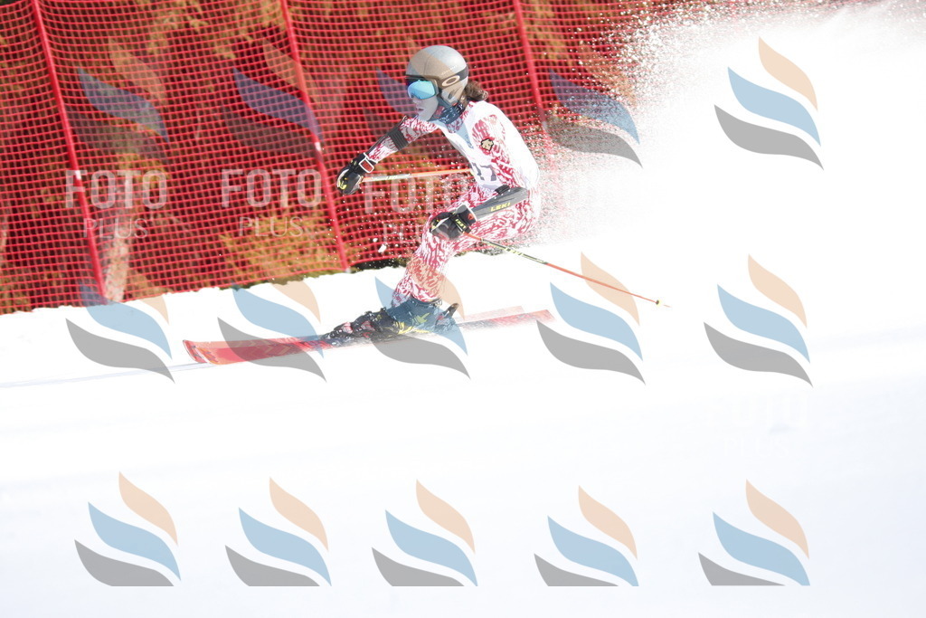 D8363 | holidayphoto