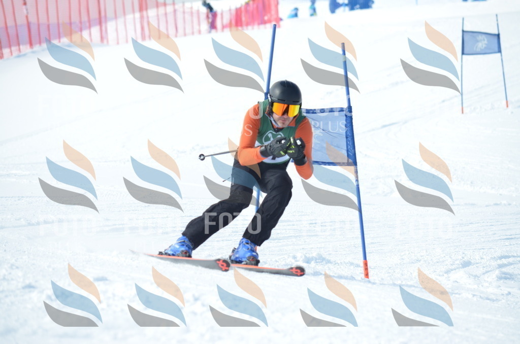 D9068 | holidayphoto