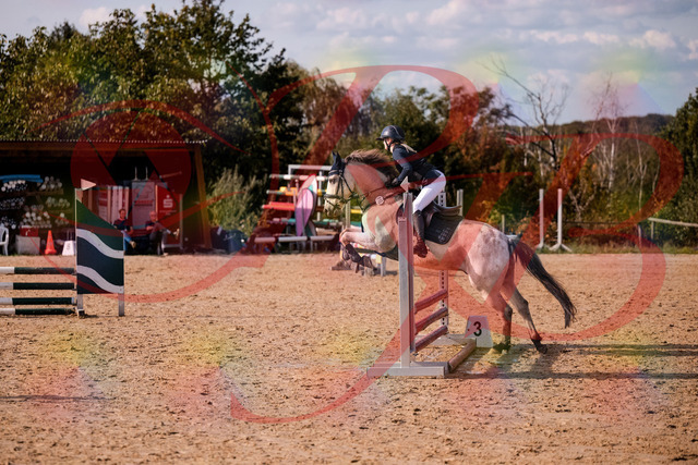 2026_10_03_Siefer-Hof_154508_Z81_63340400 | Professionelle Reitsport-, Turnier- und Eventfotografie von Robert Broda. Galerien mit ausgewählten und bearbeiteten Bildern direkt online ansehen und bestellen.