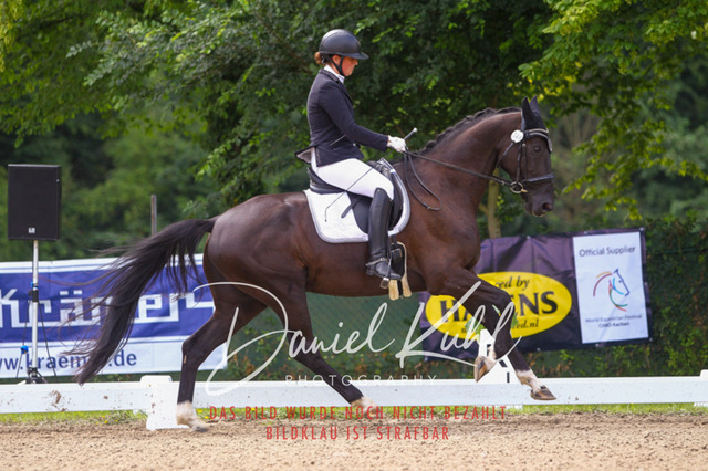 DKP40561 | Turniersportfotografie; Pferdefotografie; Dressurfotografie