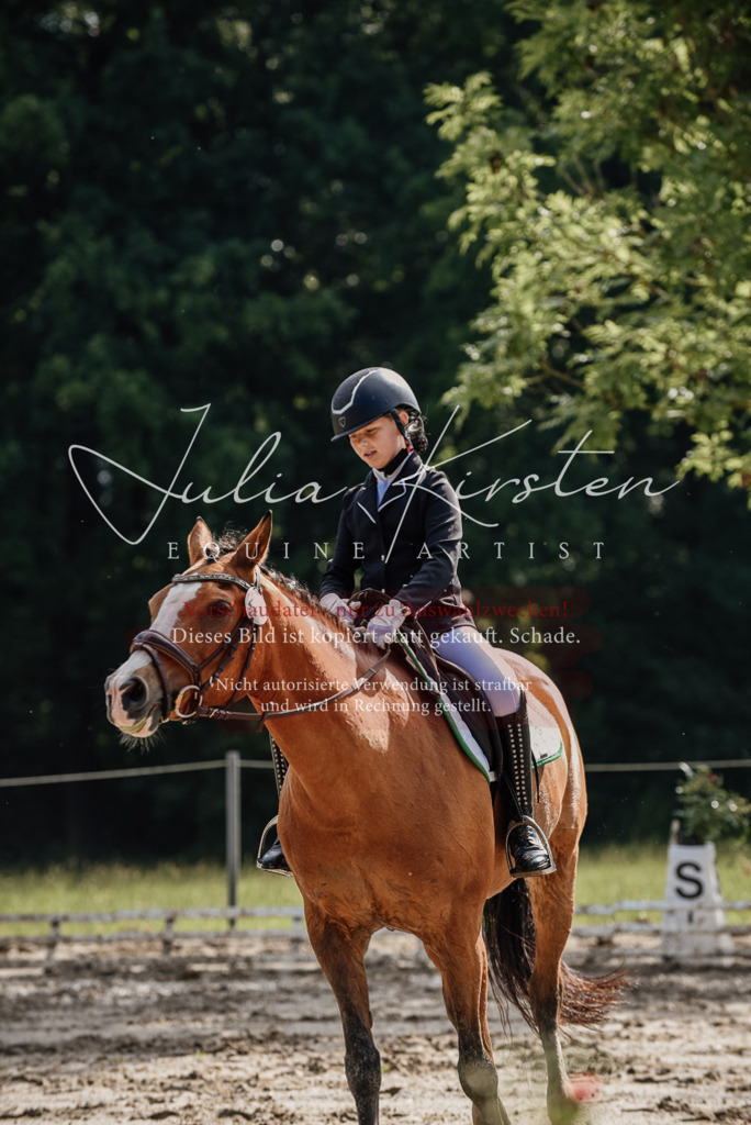 DSC_9202 | Pferde- und Turnierfotografie in Westsachsen. Pferdeportraits, Auftragszeichnungen und intuitive Kunst.