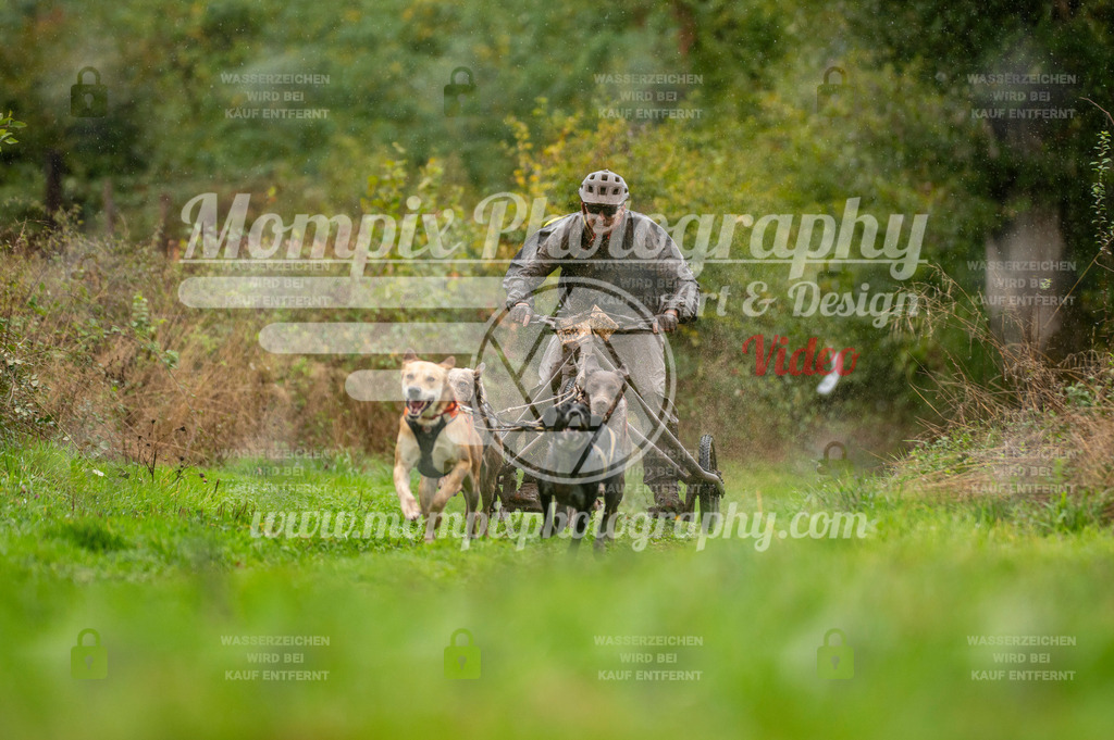 TSB_2023_E6_Kart-13 | PayLife