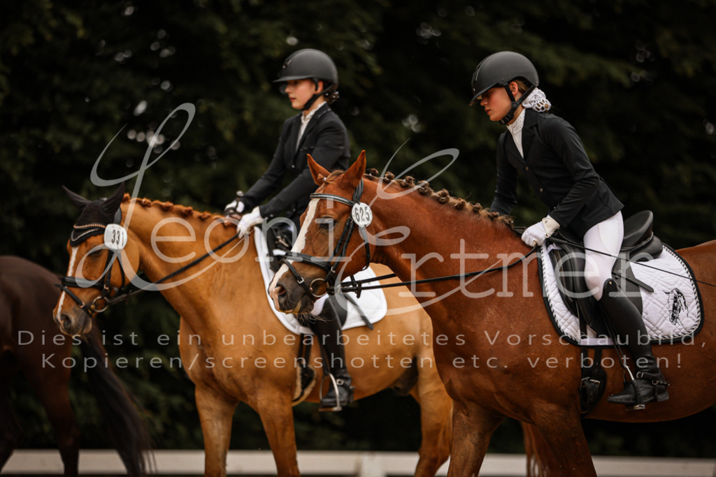 DoDrE00455 | Leoni Ertmer Photography - Realisiert mit Pictrs.com