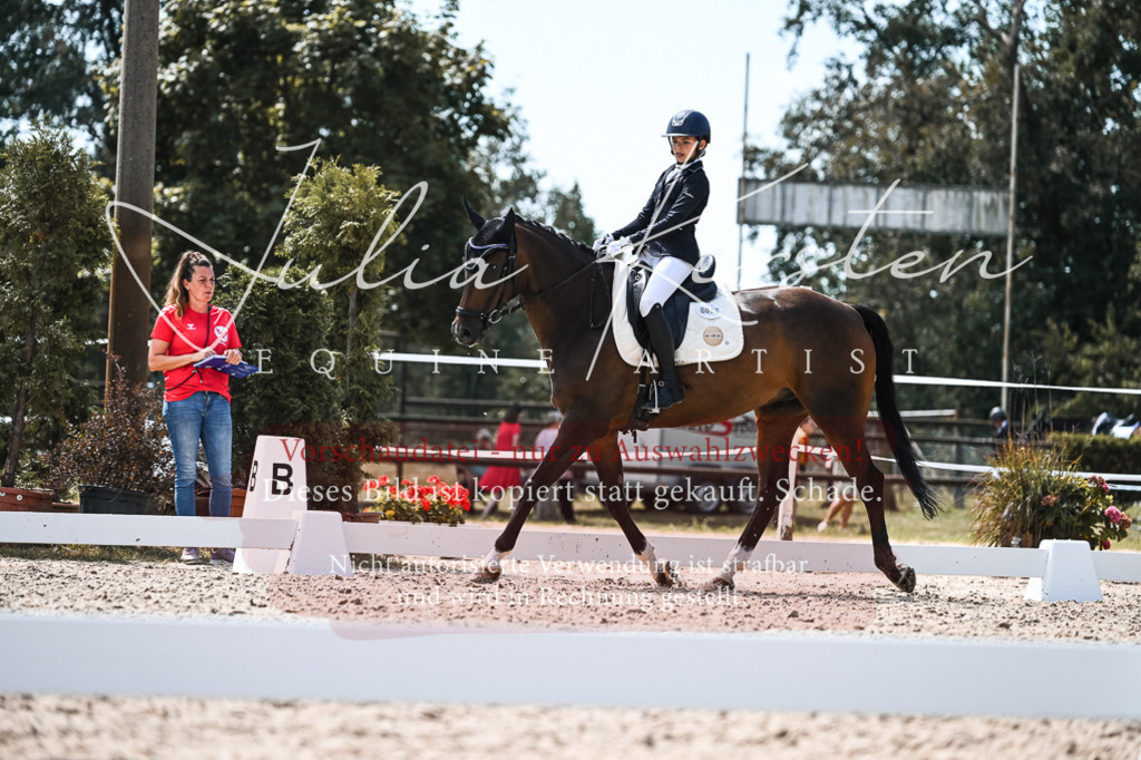 DSC_5753 | Pferde- und Turnierfotografie in Westsachsen. Pferdeportraits, Auftragszeichnungen und intuitive Kunst.