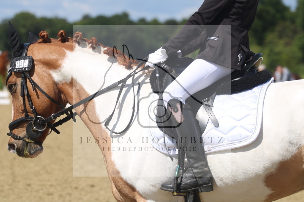 IMG_3278 | jessicahollubetz_pferdephotographie - Realisiert mit Pictrs.com