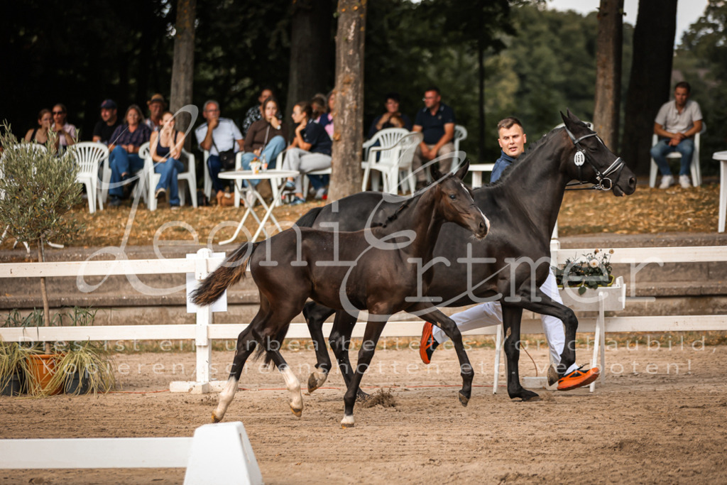 10.DoRP00078 | Leoni Ertmer Photography - Realisiert mit Pictrs.com