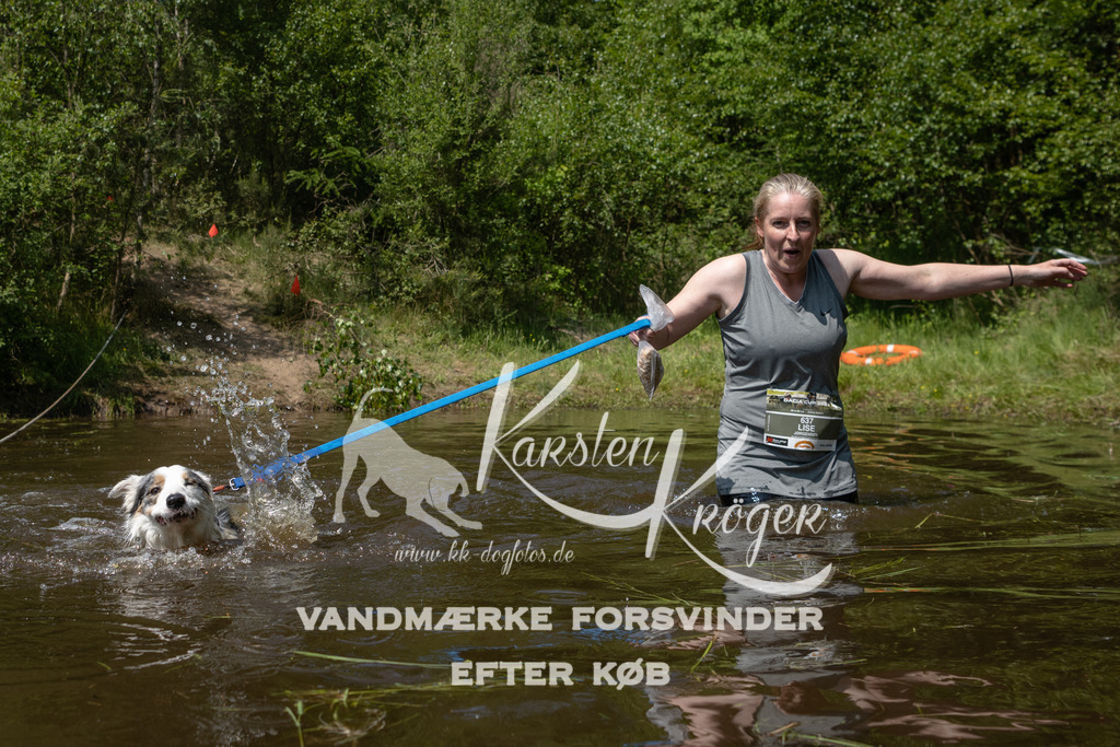 1324DKK994091 | kk-dogfotos