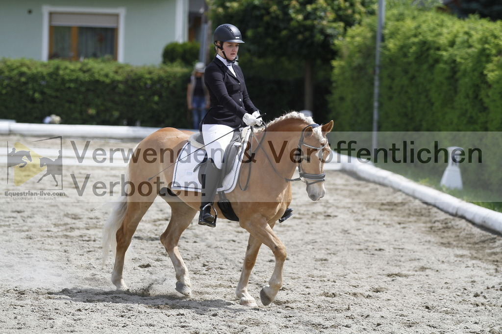 _MG_8718 | equestrian-live-com