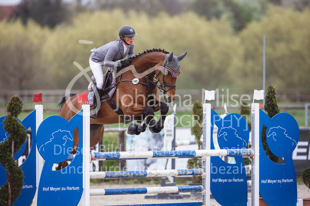 250417_Springpferde-L1-253 | Deine schönsten Turniermomente als professionelle Fotos! Entdecke hochwertige Pferdesport-Fotografie im Online-Shop. Jetzt Fotos finden & bestellen!