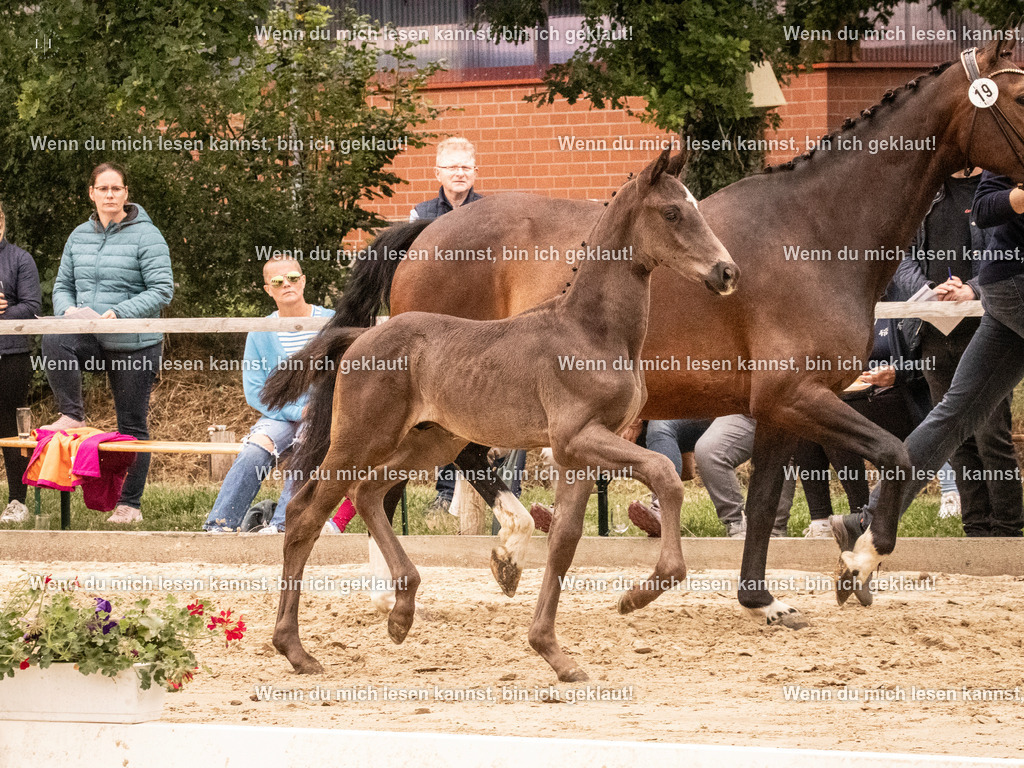 A10I1171 | photographylinaismer - Realisiert mit Pictrs.com