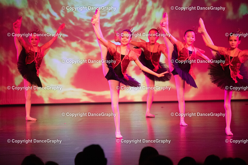 GPHY2175 | DanceGraphy - Realisiert mit Pictrs.com