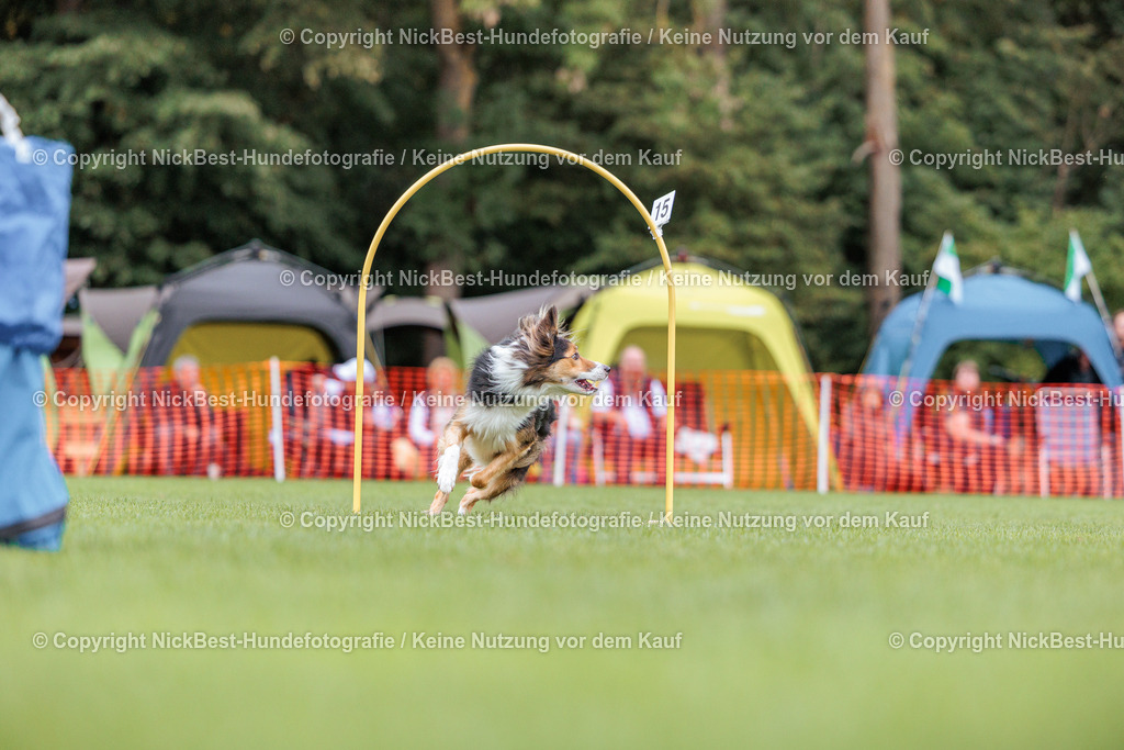 BSP Hoopers-H2 Tag2-2026-Nickbest-Hundefotografie-TuS Komet Arsten e.V.-5003 | Dein Hund! Dein Moment! Deine Erinnerungen! Hundefotografie in Bremen Blumenthal. Ich fange die besonderen Momente deines Vierbeiners ein – ob Indoor mit Blitzanlage oder in der freien Natur. Sicher dir dein Moment und dein Termin für eure Erinnerungen.