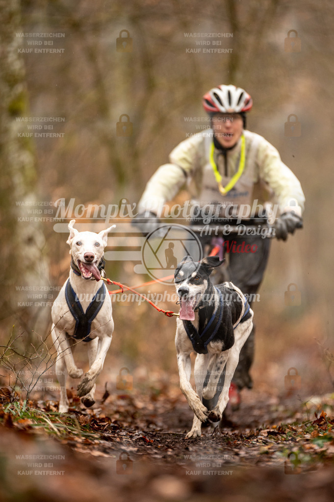 Reiat2023_SON_DS2_5km_2H-24 | mompixphotography