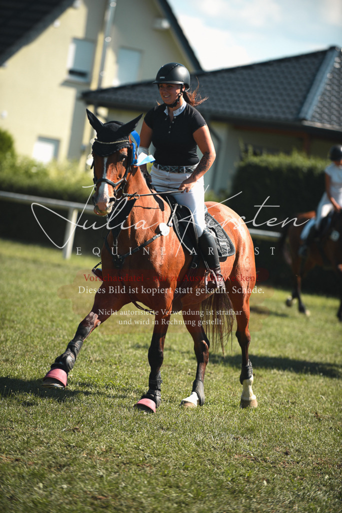 DSC_7345 | Pferde- und Turnierfotografie in Westsachsen. Pferdeportraits, Auftragszeichnungen und intuitive Kunst.