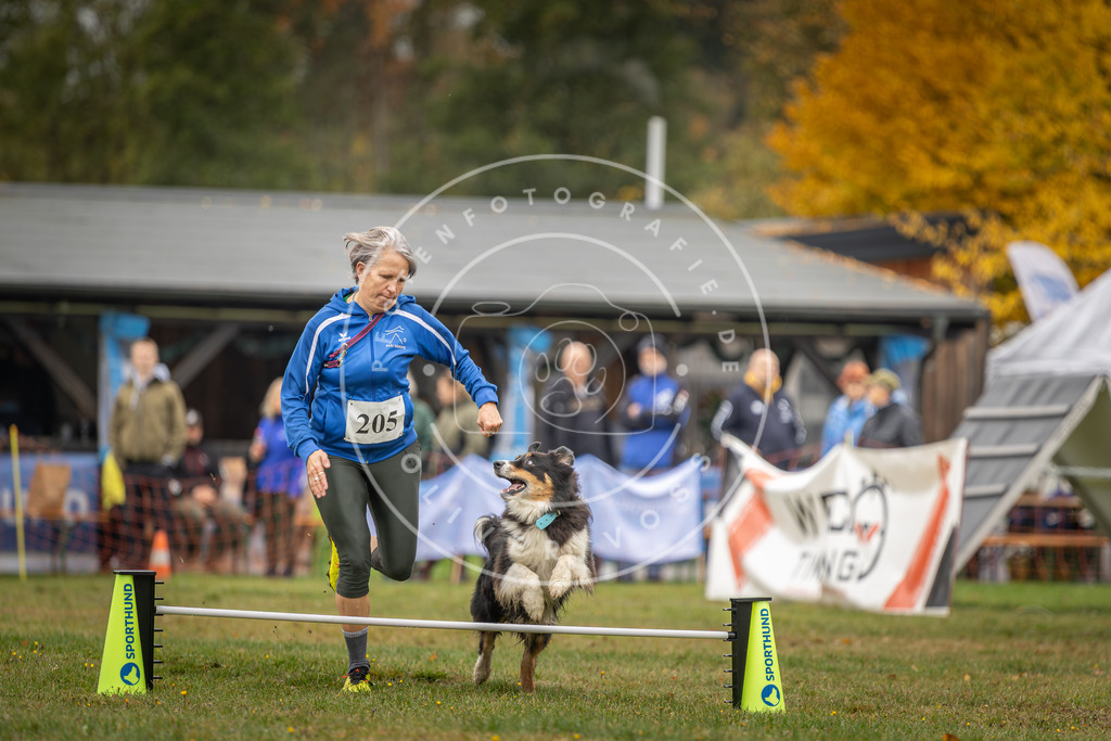 Pfotenfotografie_DV3A1718 | Hundefotografie, Tierfotograf, Pfotenfotografie, Fotoshooting Hund, Hunde Portrait, Hundesport, Hundeportraits, Heideshooting, Hunde, Sportfotograf, Hundefotograf, Turnierhundsport, THS,  - Realisiert mit Pictrs.com