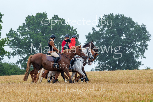 Jagd Kletkamp 26-02822_MarinaHewig | Fotografie, FotoArt, PferdesportArt, Pferdesportfotografie, Landschaftsfotografie, Reisefotografie, Reise, Pferde - Realisiert mit Pictrs.com