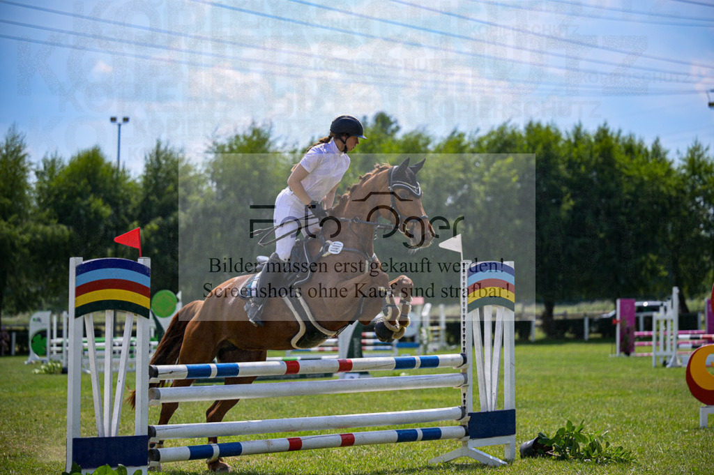 Reitturnier Voxtrup | Entdecke hochwertige Reitturnierfotos von Foto Oger. Professionell, emotional und authentisch – jetzt Lieblingsmomente im Shop bestellen.Deutschlandweite Turnierfotografie. - Realisiert mit Pictrs.com