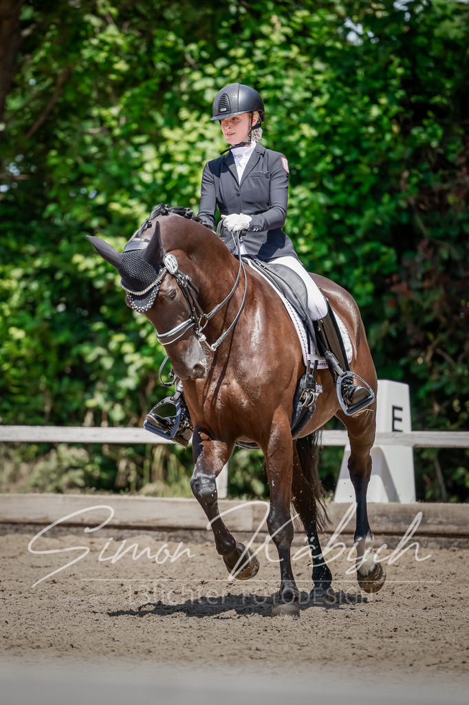 20250621-_3LI8093 | Tierfotografie Pferde, Hunde, Katzen, Haustiere.
Turnierfotografie Reitturniere, Reiten, Springreiten, Dressur in Hanau, dem Main-Kinzig-Kreis und dem Rhein-Main- Gebiet um Frankfurt
