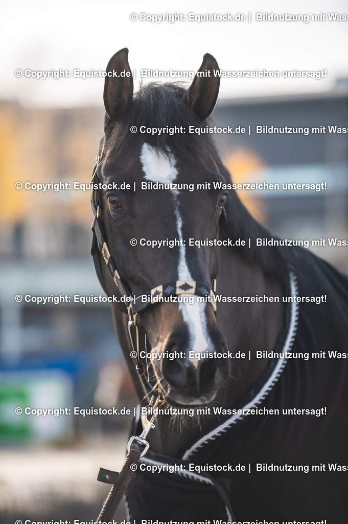 20251113_Raphael-Netz_TOMSPIC_0008 | Foto: Thomas Hartig