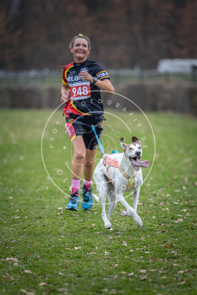 CaniXpix_DV3A7317 | Hundefotografie, Tierfotograf, Pfotenfotografie, Fotoshooting Hund, Hunde Portrait, Hundesport, Hundeportraits, Heideshooting, Hunde, Sportfotograf, Hundefotograf, Turnierhundsport, THS,  - Realisiert mit Pictrs.com