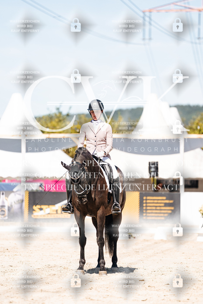 CK909444 | Turnierfotografie Pferdefotografie Trier Rheinland-Pfalz Pferdesport Reitsport Tierfotografie Sportfotografie Pferdevideo Pferdevideografie Equestrianvideography equestrianphotography  - Realisiert mit Pictrs.com