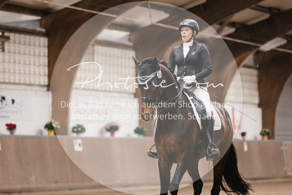 3I6A8701 | Stimmungsvolle Portraits und Reitsportfotografie im Ruhrgebiet und im Münsterland.

Pferdefotografie, Hundefotografie, Tierfotografie, Reportagen, Portraits von Tier und Mensch, Turnierfotografie in Bochum, Recklinghausen, Marl, Haltern am See, Dülmen.. - Realisiert mit Pictrs.com