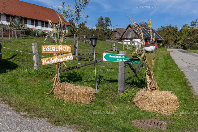 Kulinarischer Herbstreigen am Maltschacher See | Bildershop von pixelworld.at - Realisiert mit Pictrs.com