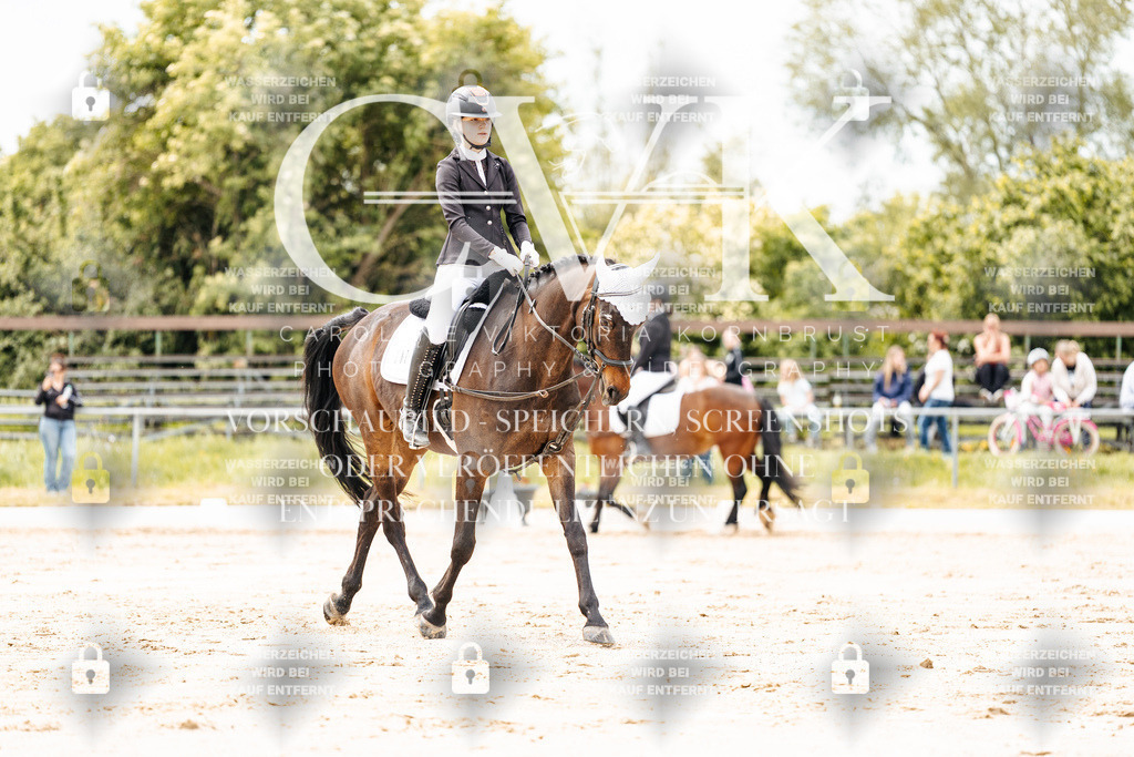 CK902761 | Turnierfotografie Pferdefotografie Trier Rheinland-Pfalz Pferdesport Reitsport Tierfotografie Sportfotografie Pferdevideo Pferdevideografie Equestrianvideography equestrianphotography  - Realisiert mit Pictrs.com