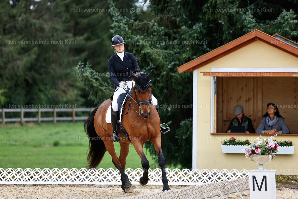 11-189-Dressur S___-StoibPH-924 | working equitationturnier fotograf videograf stoibphotography marixx film working equitation deutschland reitsport turnierfotografie eventfotografie equestrian events