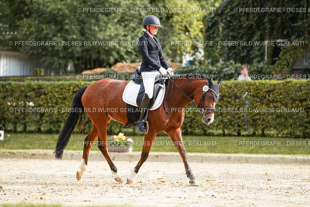 DSC04508 | Pferdegrafie