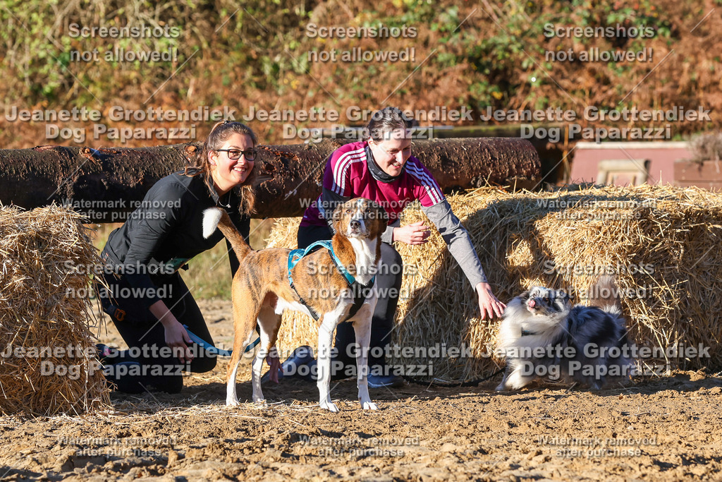Dog Paparazzi - Strongdog 10-25-1198 | Dog Paparazzi Jeanette Grottendiek Fotografie & Videografie - Realisiert mit Pictrs.com