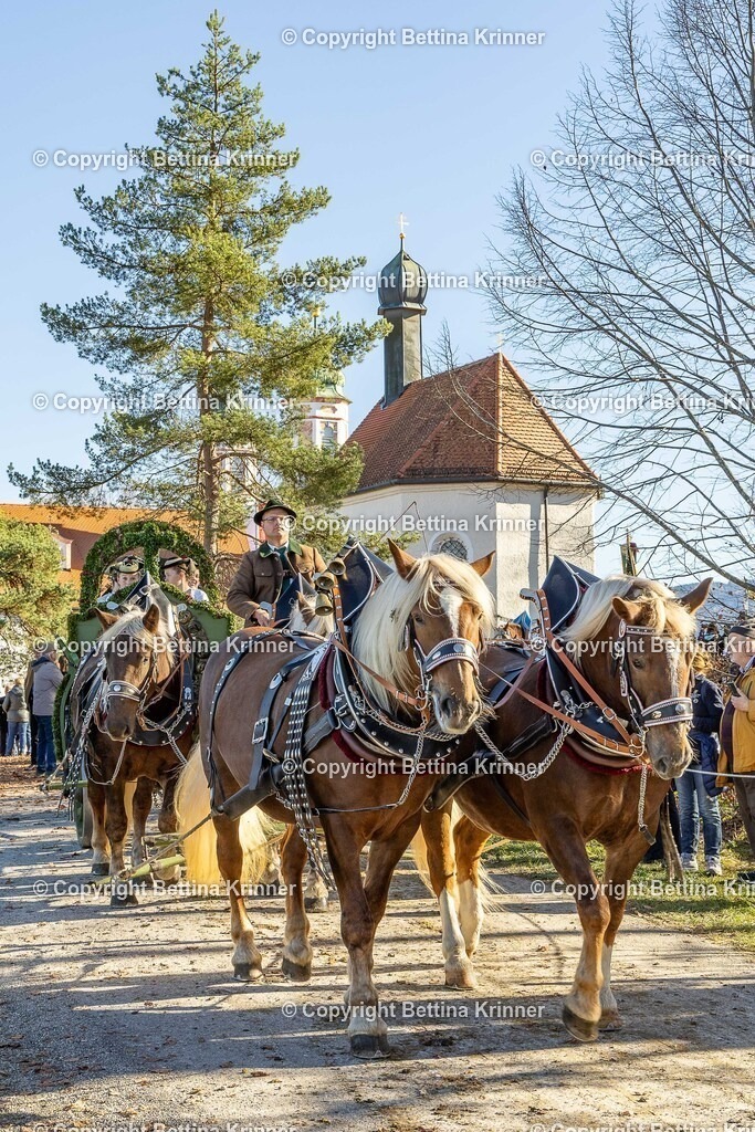 LBT25-1429 | foto-bettina-krinner - Realisiert mit Pictrs.com